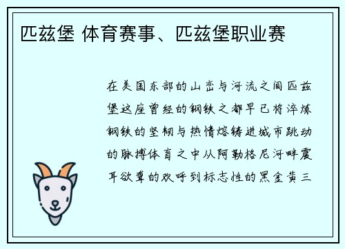 匹兹堡 体育赛事、匹兹堡职业赛